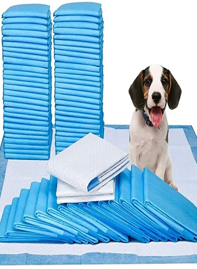Pups&Pets Puppy Training Pee Pads Pet Training Pads for Dog and Puppy, Water Proof Dog Pee Pad (20 P, 60x90) - Image 1